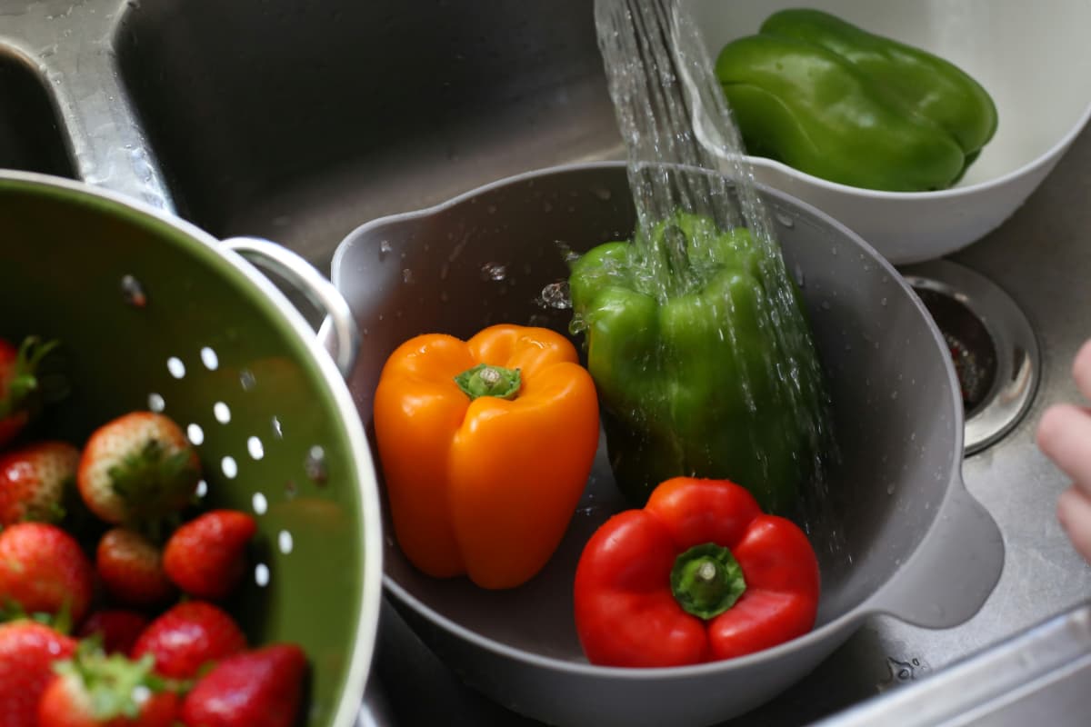 What to know about the diarrhea-causing parasite in South Florida