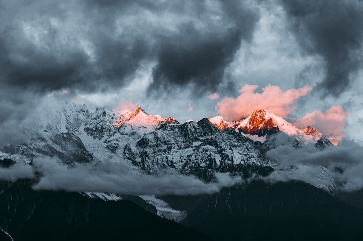 VIP Journal - Winter 2026: The Art Issue Cover